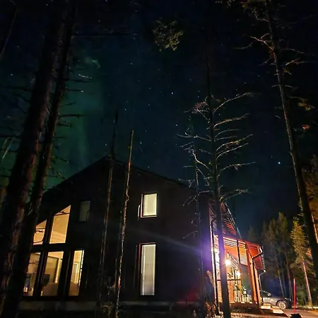 Holiday home Levired- New At Levi